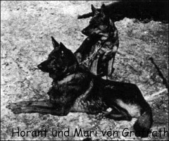 Horant und Mari von Grafrath (Mari sitzend) die Gr�ndereltern unserer SH